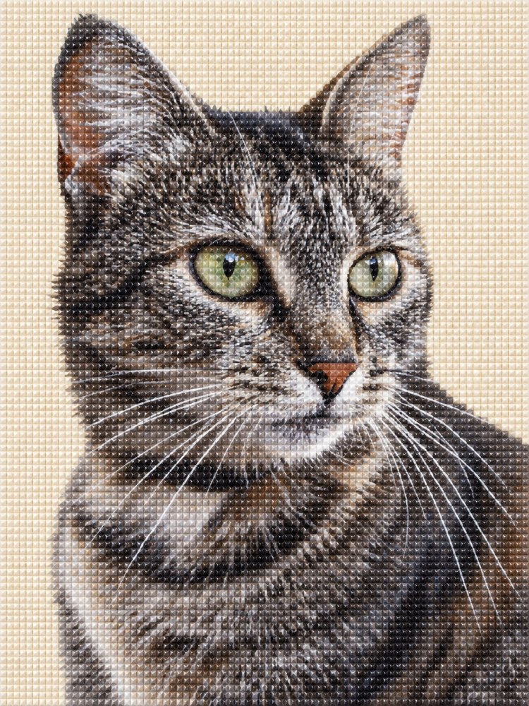 猫の写実寄り