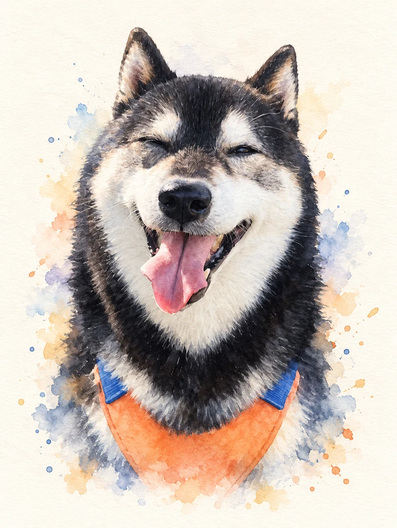 黒柴の透明水彩の作例
